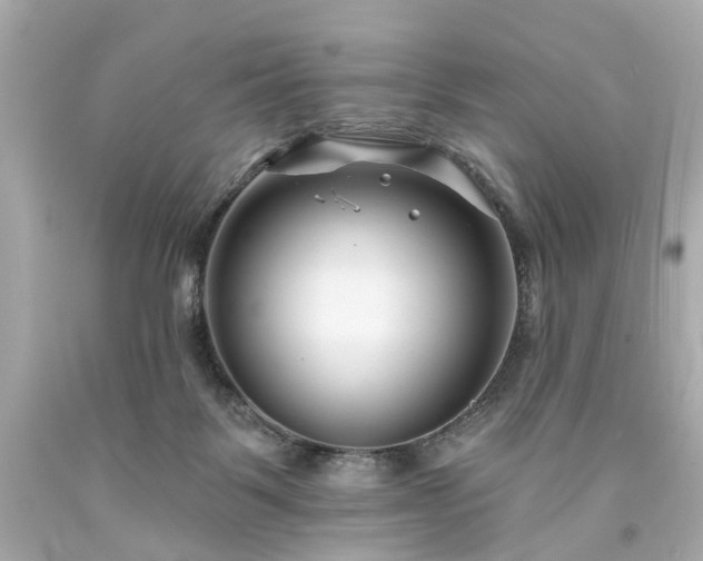X0000094170123200711020950