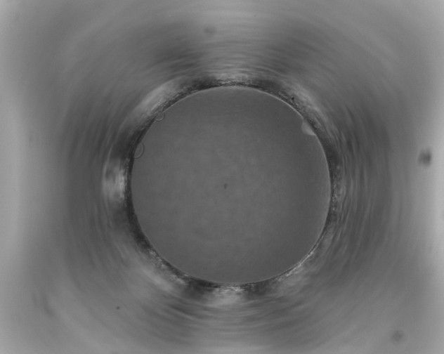X0000094170124200711020950