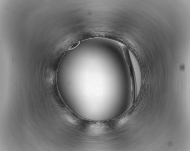 X0000094170125200711020950