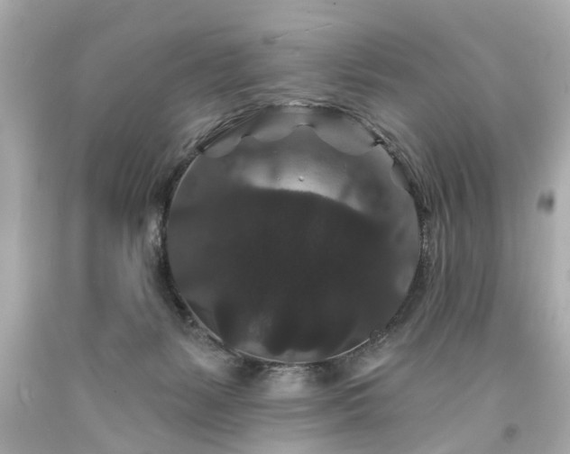 X0000094170127200711020950