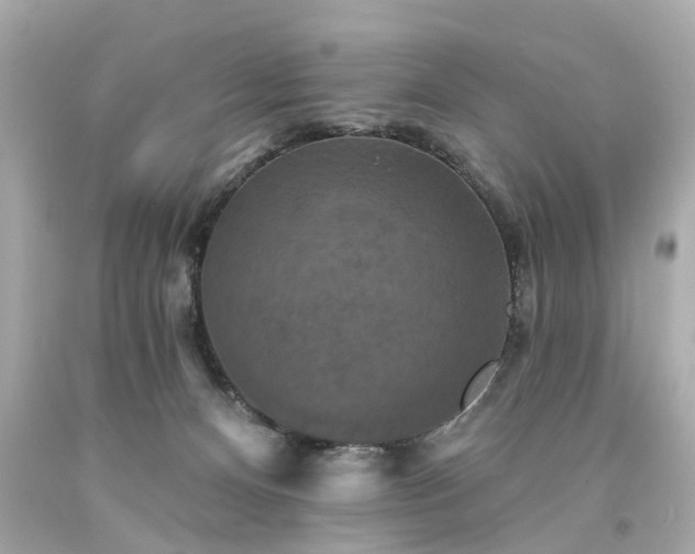 X0000094170128200711020950