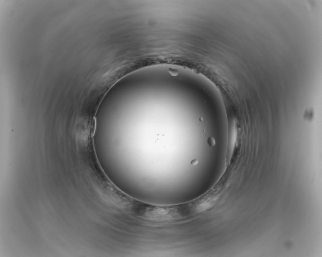 X0000094170129200711020950
