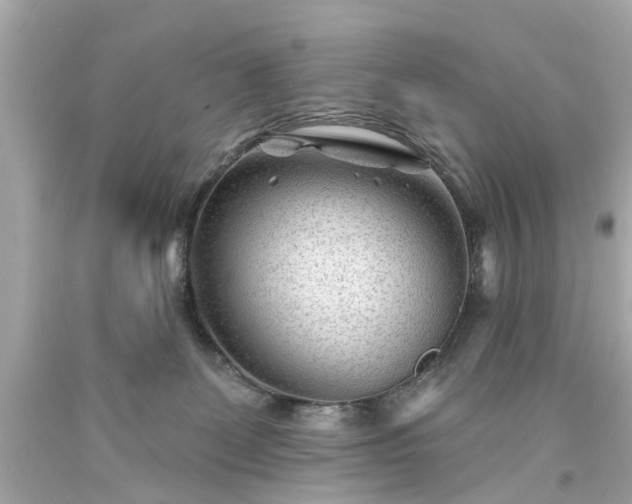 X0000094170131200711020950