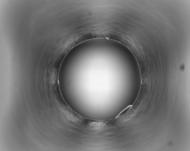 X0000094170133200711020950