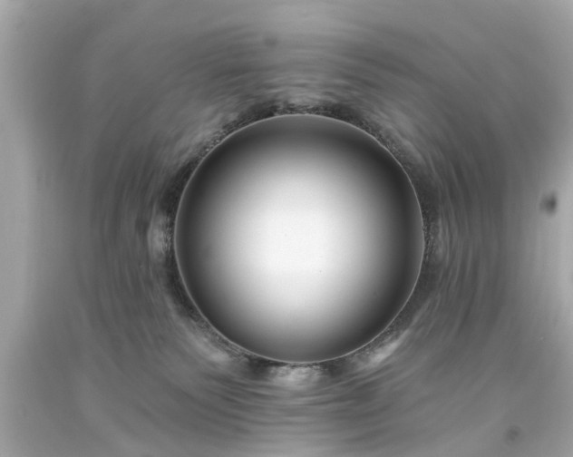 X0000094170135200711020950