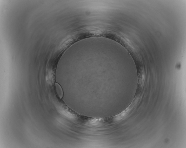 X0000094170136200711020950