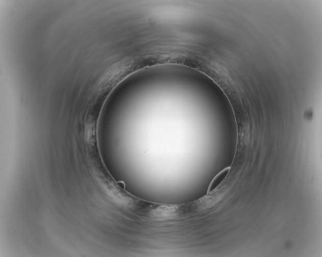 X0000094170138200711020950