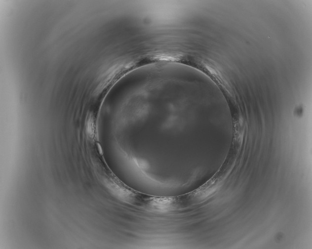 X0000094170143200711020950