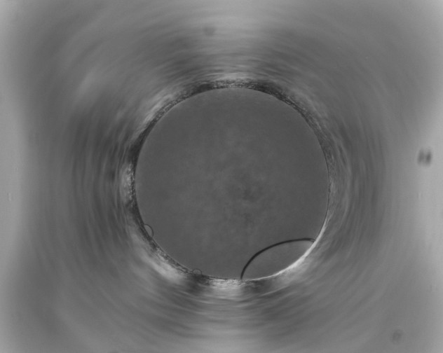 X0000094170144200711020950