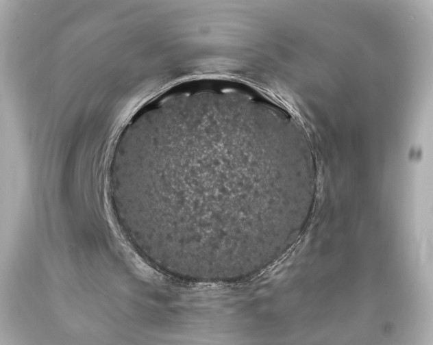 X0000094170145200711020949