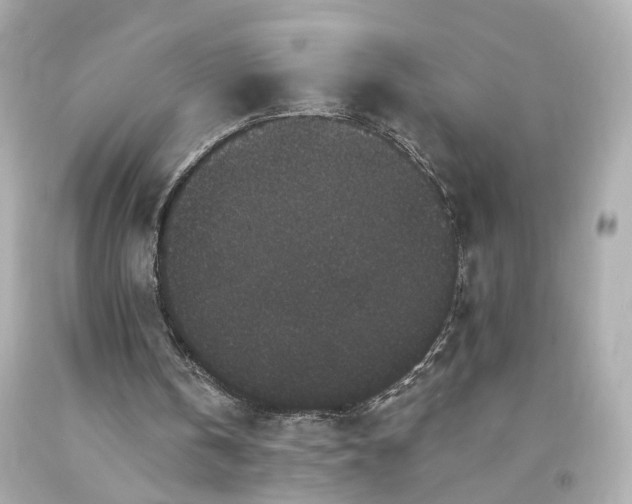 X0000094170146200711020949