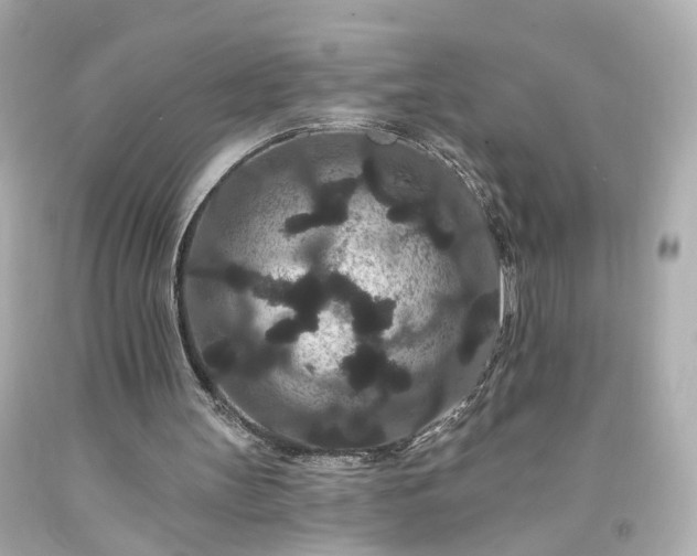 X0000094170147200711020949
