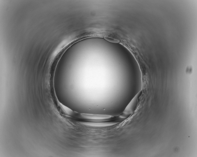 X0000094170150200711020949