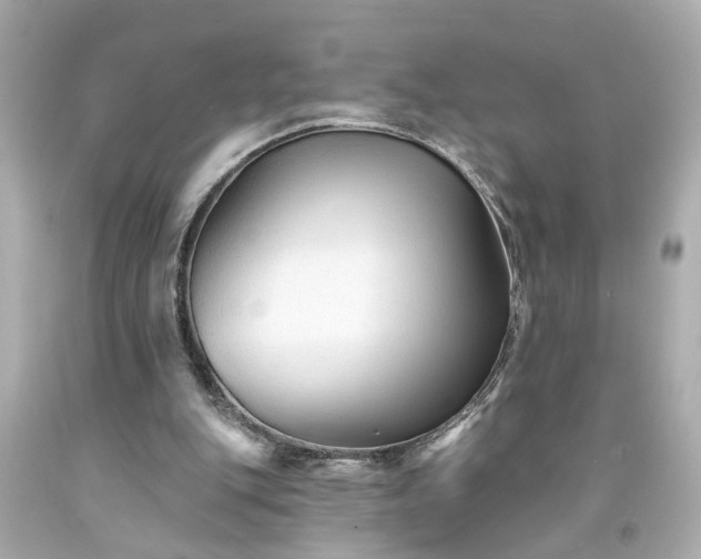 X0000094170151200711020949