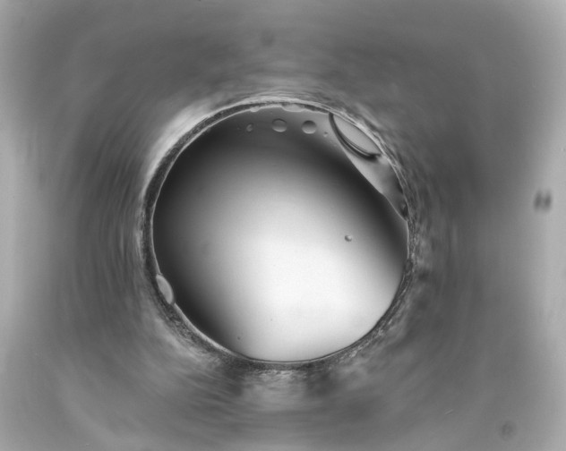 X0000094170152200711020949