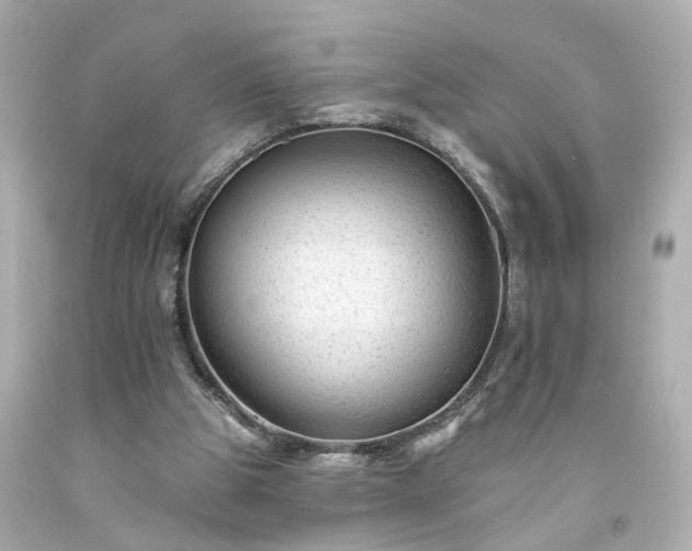 X0000094170153200711020949