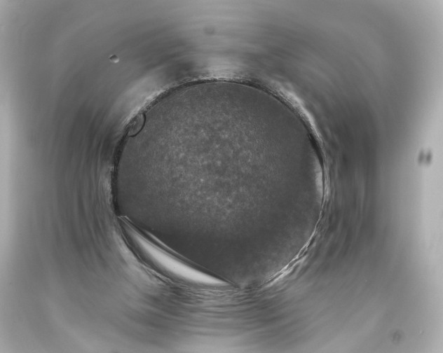 X0000094170154200711020949