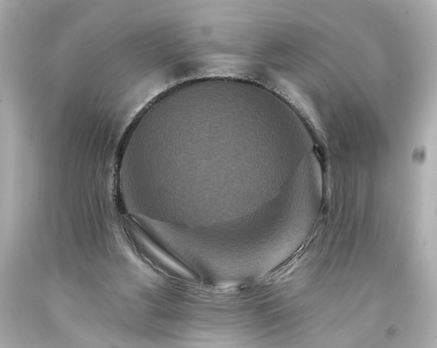 X0000094170156200711020949