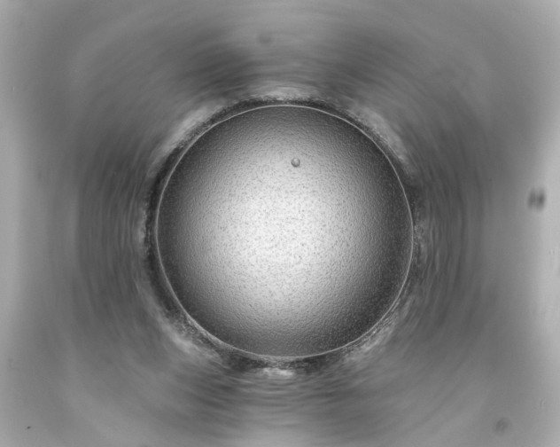 X0000094170159200711020949