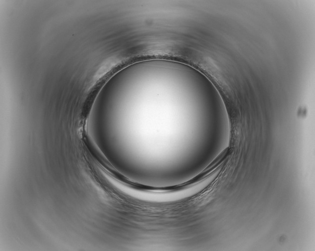 X0000094170160200711020949