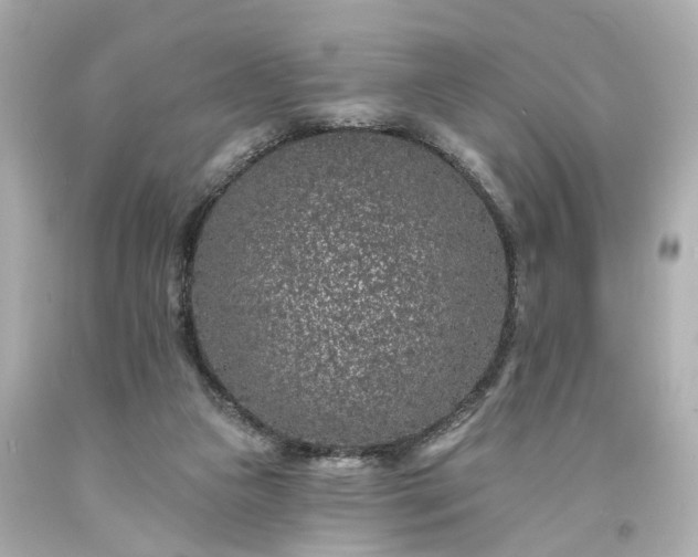 X0000094170161200711020949