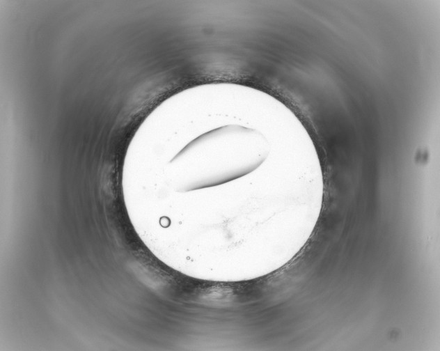 X0000094170162200711020949