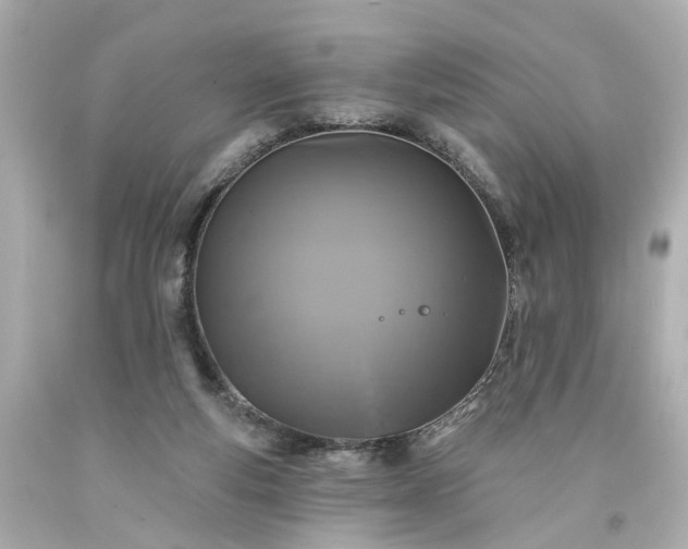 X0000094170163200711020949