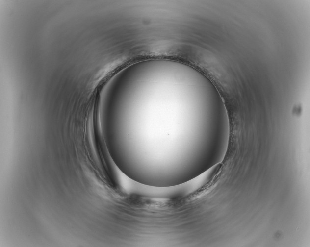 X0000094170164200711020949