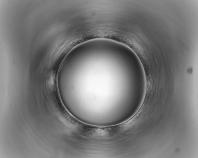 X0000094170166200711020949