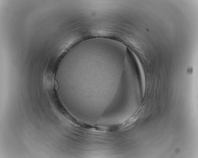 X0000094170168200711020949