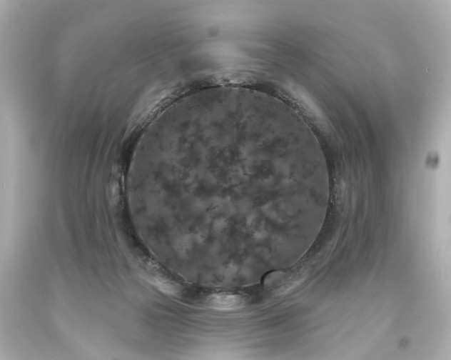 X0000094170169200711020949