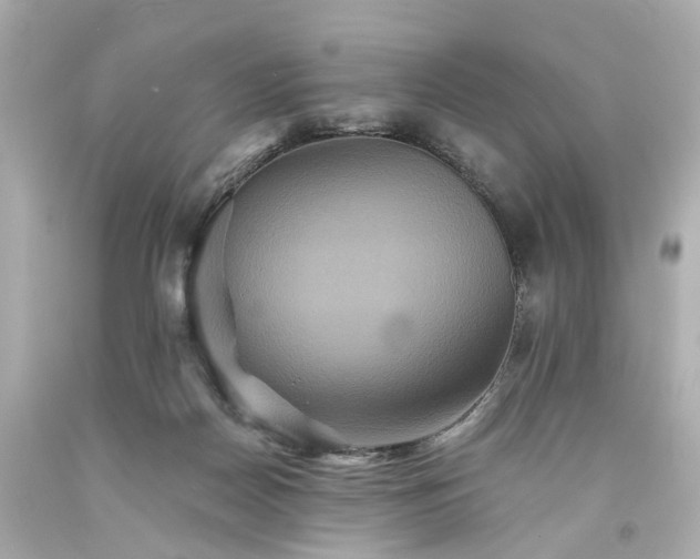 X0000094170170200711020949