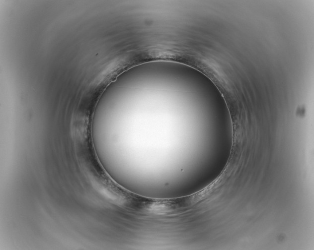 X0000094170171200711020949