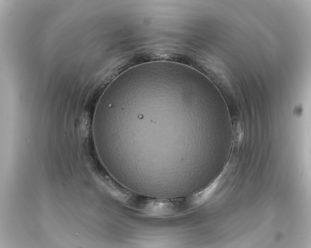 X0000094170174200711020949