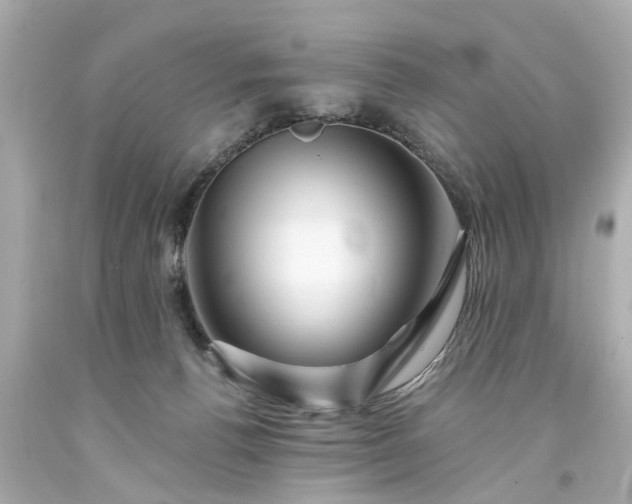 X0000094170176200711020949