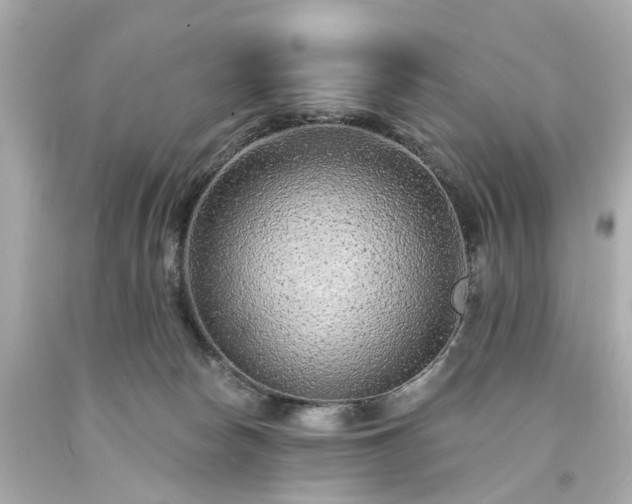 X0000094170178200711020950