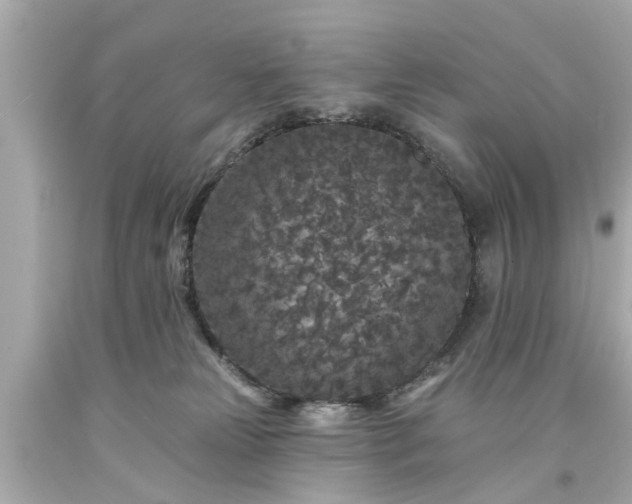 X0000094170181200711020950