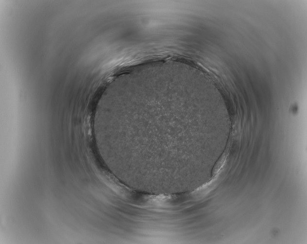 X0000094170182200711020950
