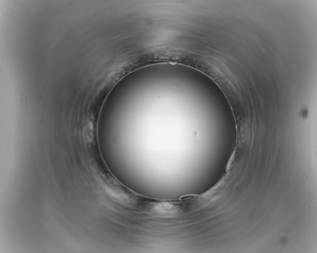 X0000094170183200711020950