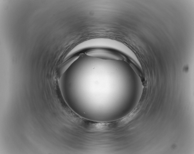 X0000094170184200711020950
