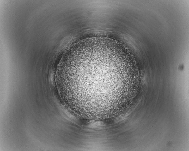 X0000094170185200711020950