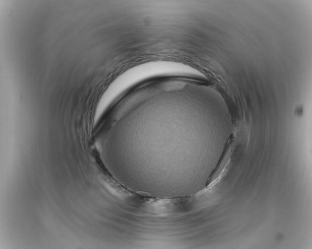 X0000094170186200711020950
