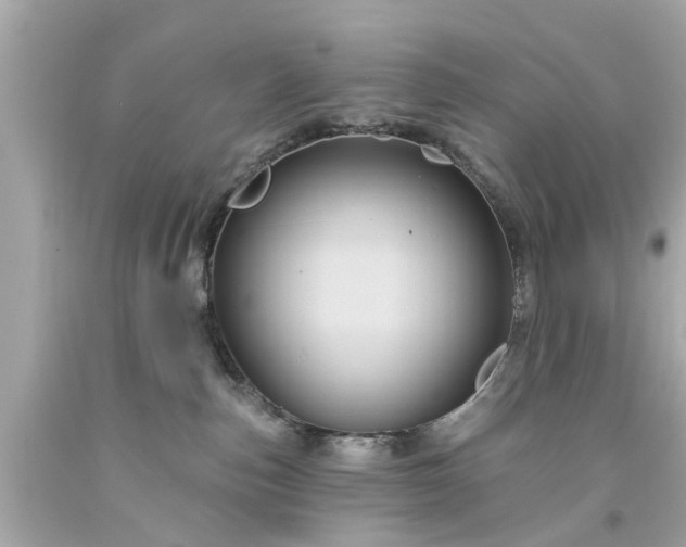 X0000094170187200711020950