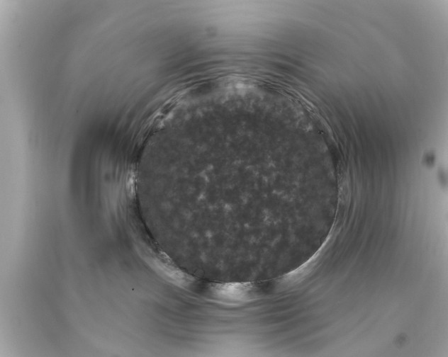 X0000094170191200711020950