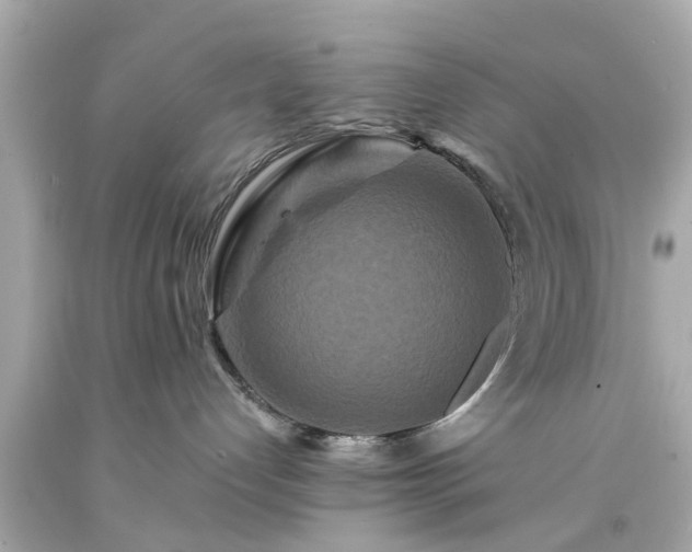 X0000094170192200711020950