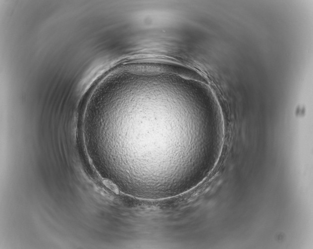 X0000094170194200711020949