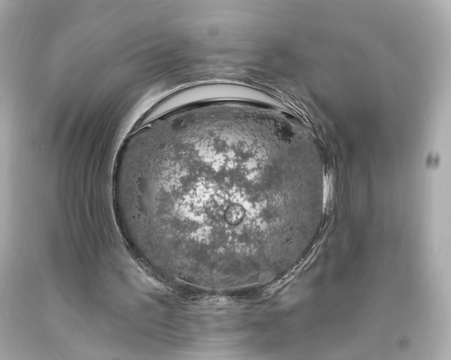 X0000094170195200711020949