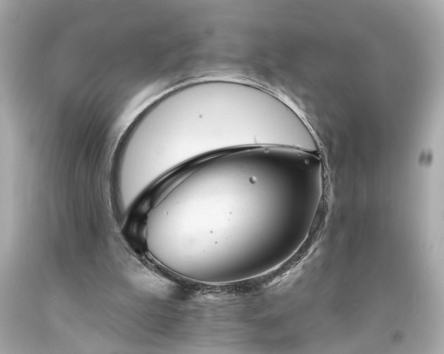 X0000094170199200711020949