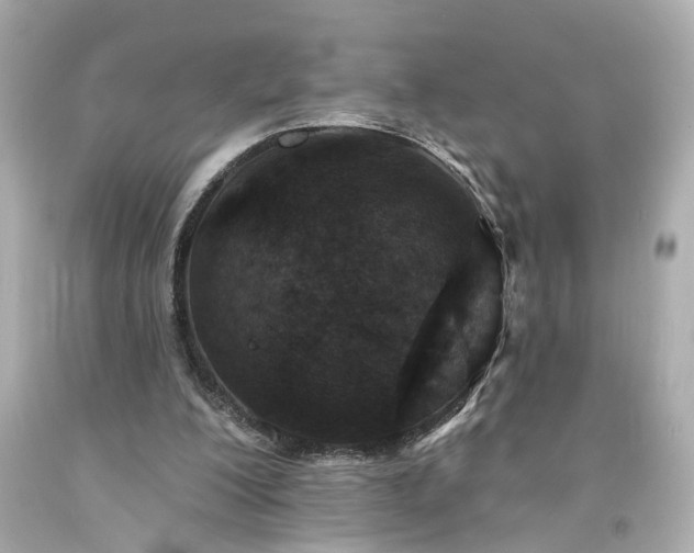 X0000094170200200711020949