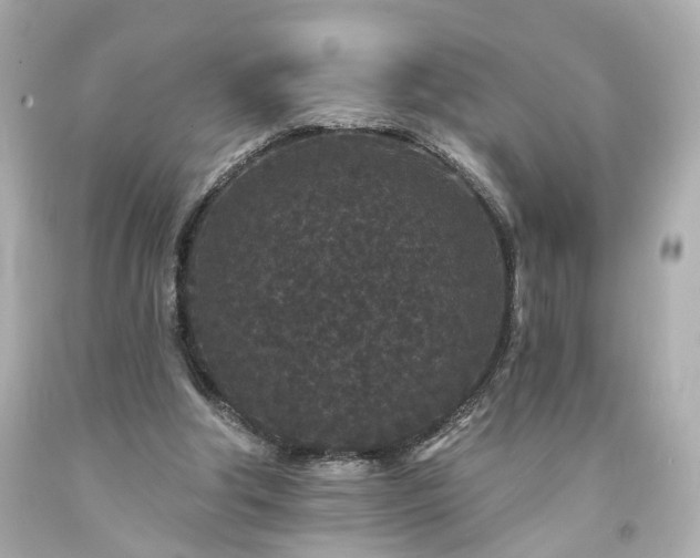 X0000094170202200711020949